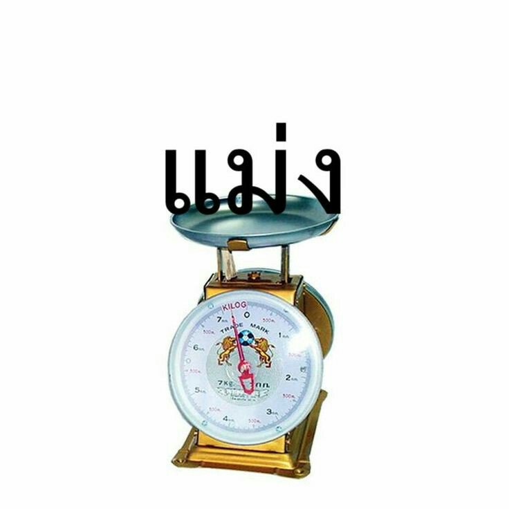 . tweet media