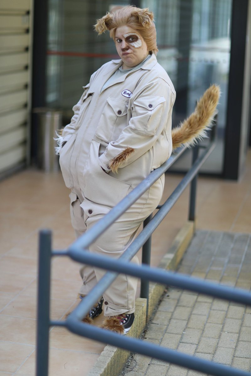 mog costume mog costume