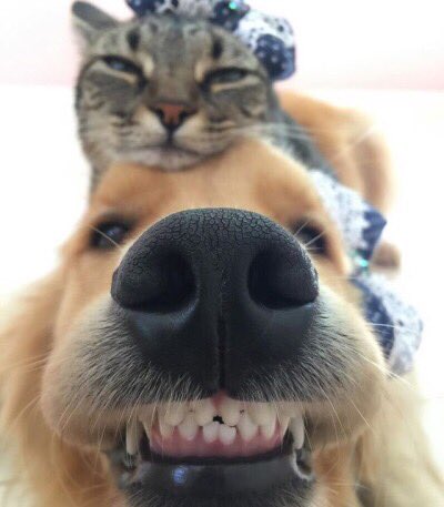 acidpan1c's tweet photo. iti https://t.co/fcP7M1WHis