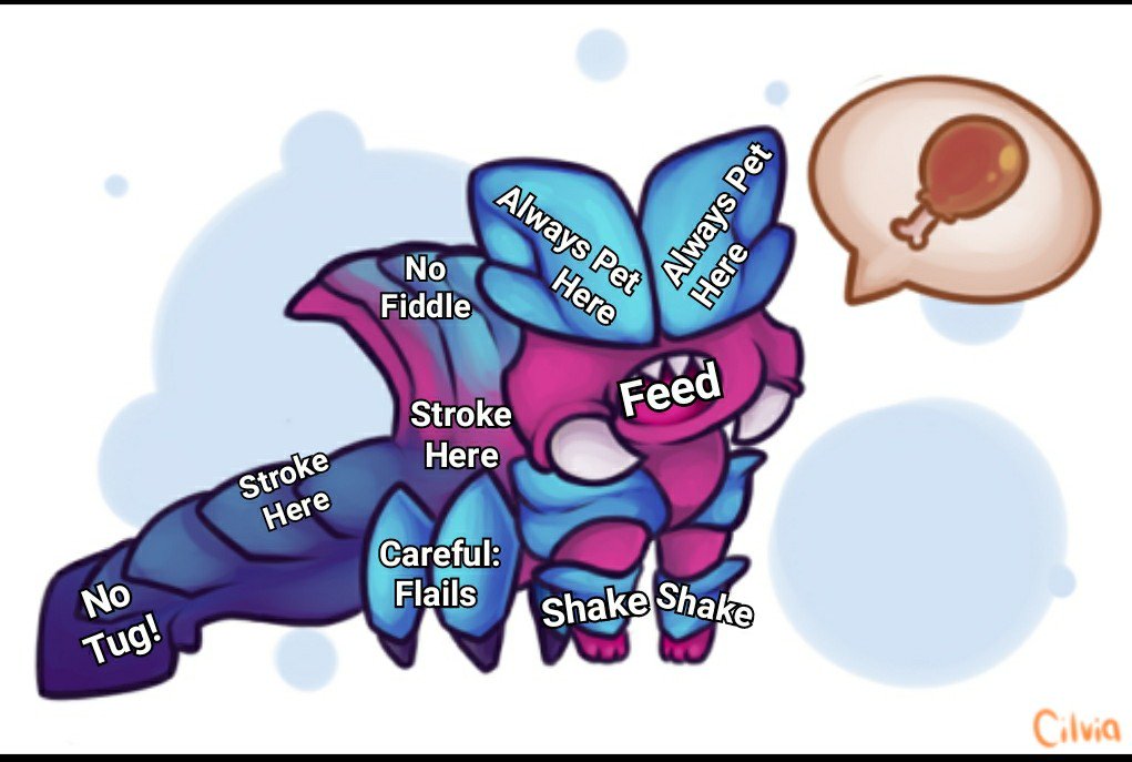 /|\ Heres the little anatomy of where its okay to touch Baby Rekky :3