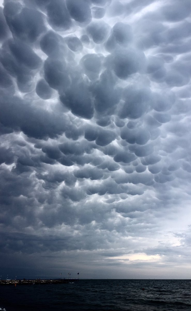 Mike Bolam tweet media