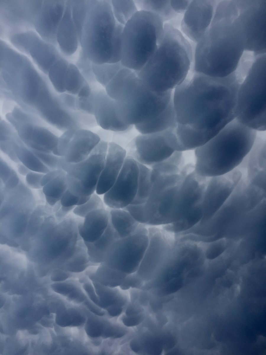 Mike Bolam tweet media