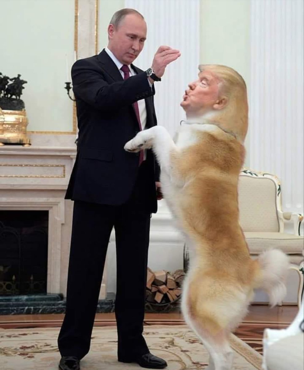 jomamamo's tweet photo. @realDonaldTrump https://t.co/DAzwcwqYMy