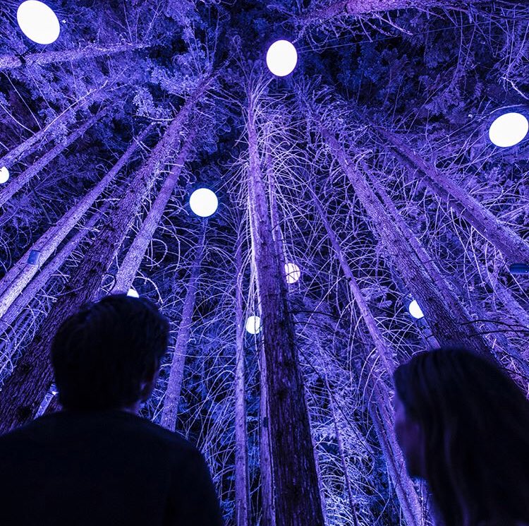 ValleaLumina's tweet photo. Look up and see constellations brighter than ever before!

https://t.co/i6MsuTytZD

📸: @ericmpoulin .
#vallealumina #momentfactory #tagwhistler #onlyinwhistler https://t.co/aZdjcpvTRt