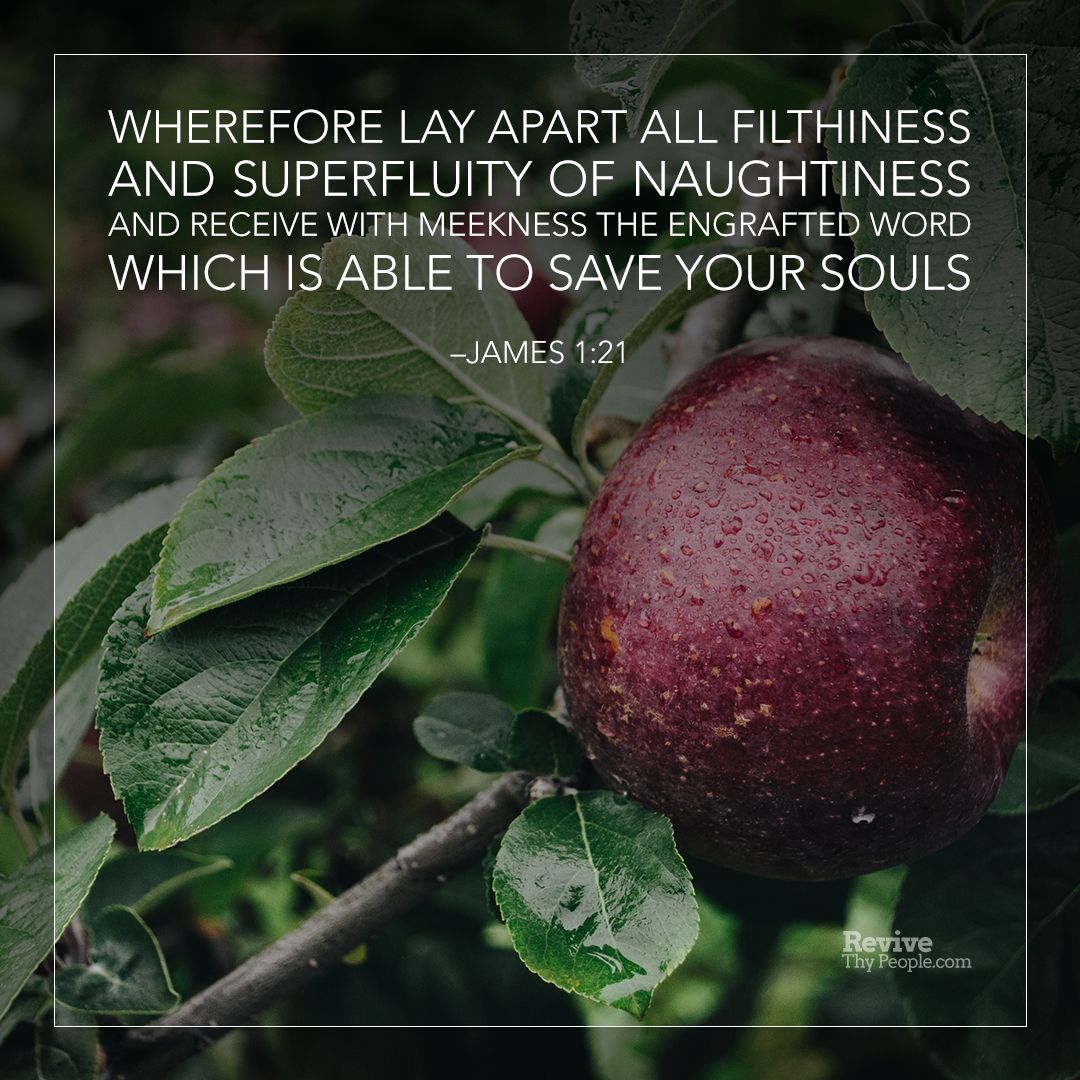 ReviveThyPeople's tweet image. James 1:21
#putOff #renew #putOn #Word #graft #deliver