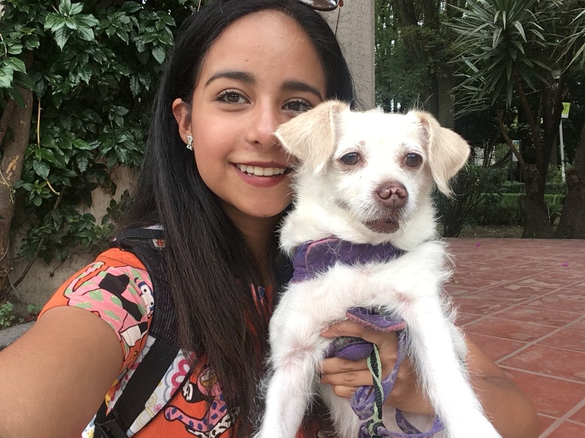 daniellagomez99's tweet photo. #ConMiPerroYo “Copito y Bobo” salgo a hacer ejercicio 💖 https://t.co/Og2Al4vR0w