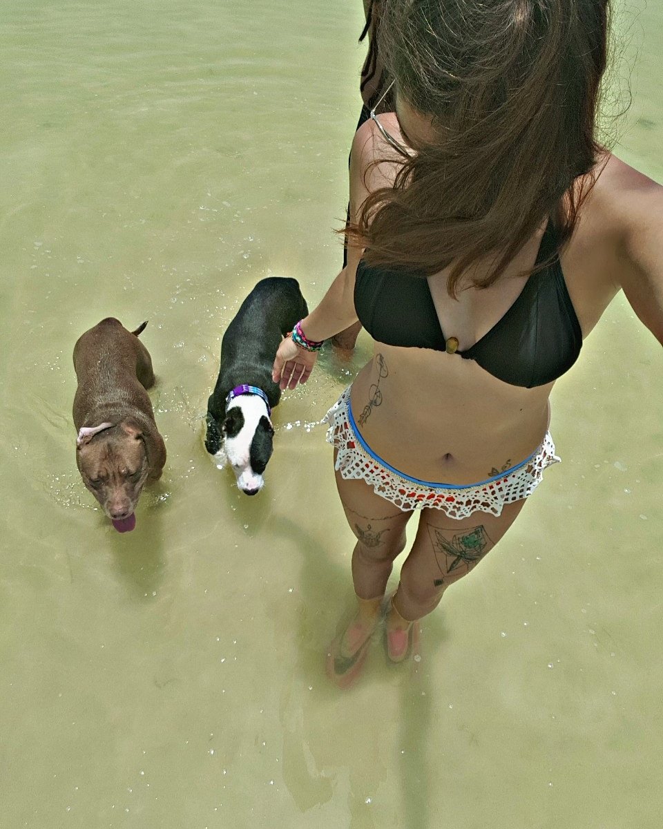 andypandywonka's tweet photo. #ConMiPerroYo comparto mis lugares favoritos #viajemosporQuintaRoo #islablanca #ViernesDeGanarSeguidores #FelizViernes 🐶🐶🖤 https://t.co/XnbAPGJfhA
