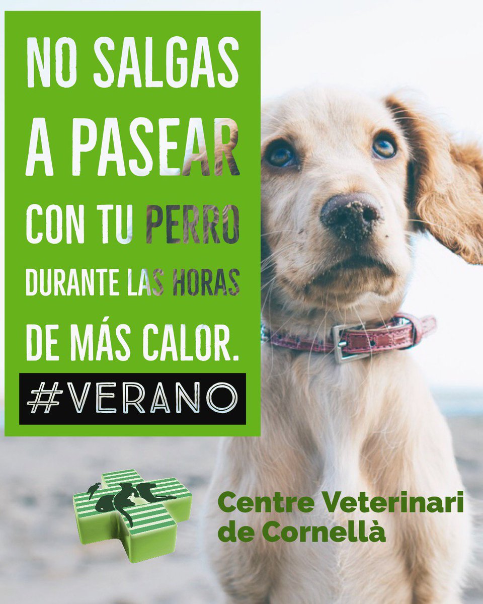 EquipVeterinari's tweet photo. Evitad los #golpesdecalor https://t.co/12piBK1Vui