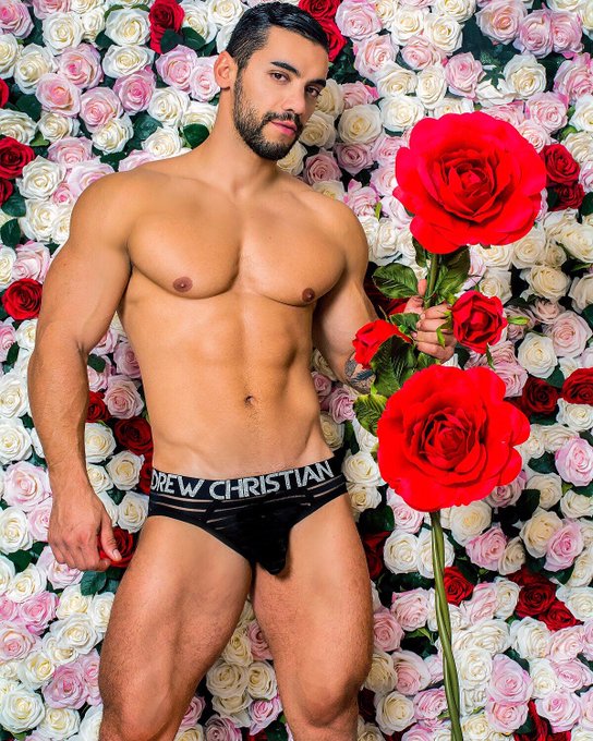 🙅🏻&zwj;♂️- whatever.ill just date myself 🕺  ..  ..Fodase, vou namorar a mim mesmo. 😅 🇧🇷 .. .. خیالی نیست<a href="/tag/muscle"class="tags"><span>#muscle</span></a><a href="/tag/tattoo"class="tags"><span>#tattoo</span></a><a href="/tag/underwearmodel"class="tags"><span>#underwearmodel</span></a><a href="/tag/internationalmodel"class="tags"><span>#internationalmodel</span></a>