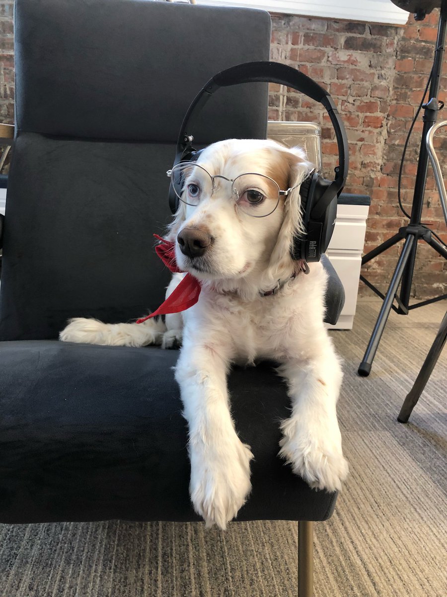 Snacks &amp; Dogs! A career come true! RT <a href="/saucelabs/">Sauce Labs</a>:  Join our merry crew and make the world a better place for slinging code! (Side benefit: you could get to know Gus, a beloved fixture <a href="/saucelabs/">Sauce Labs</a>) ow.ly/APdJ30l1KGY #careers #techjobs #recruiting