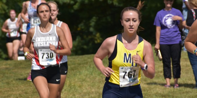 Marian Knights tweet media