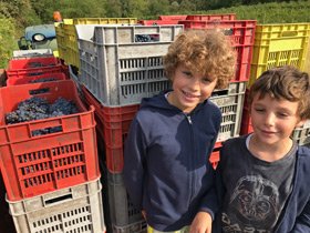 2016 Vespolina - Exclusively Piedmont
Brigatti Vespolina Maria Colline Novaresi, 2016
bit.ly/BrigattiMaria16
@winefreako #AltoPiedmont  #winelovers #Italy