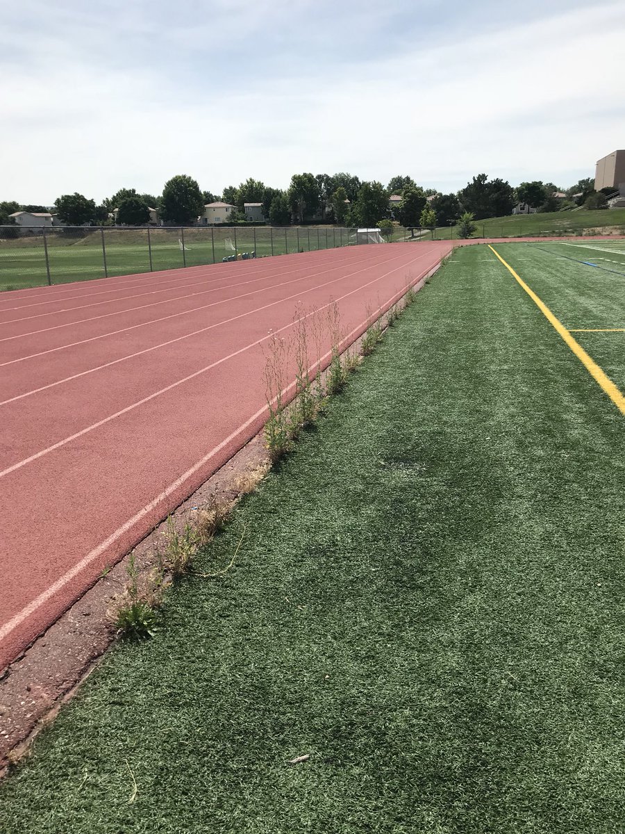 GangSalt's tweet photo. #FilthyHandsFriday with the gang cleaning up the track and practice field 😤😤 30 lbs of weeds picked up. Shout out to Stephen with the biggest load. https://t.co/j09zPGIExU