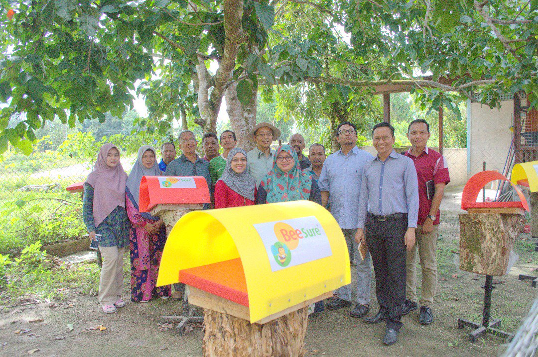 EcoBeeworld's tweet photo. Our Malaysian team helped maintain bee  colonies with the Kelulut (Stingless Bees) Project, located in Kampung  Gemuruh, Terengganu. Check out the amazing time they had, while helping  maintain the colonies! https://t.co/0a5xAXDupg