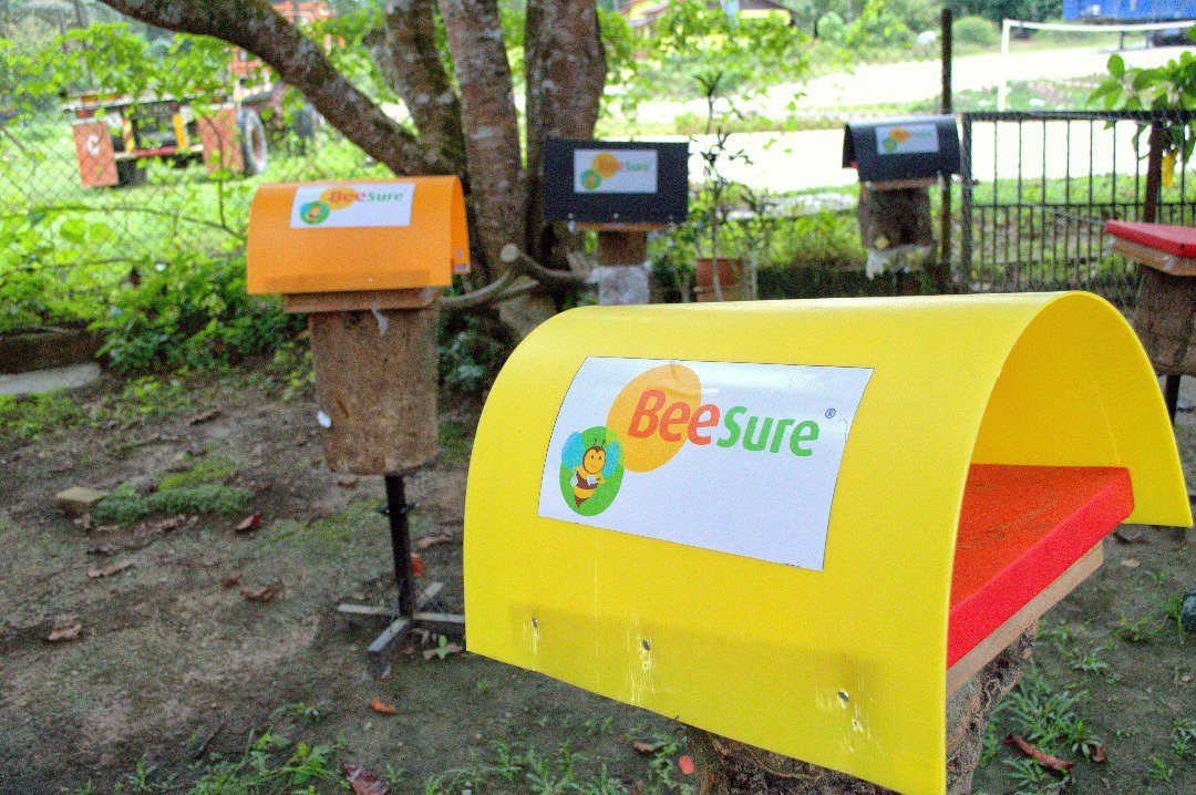 EcoBeeworld's tweet photo. Our Malaysian team helped maintain bee  colonies with the Kelulut (Stingless Bees) Project, located in Kampung  Gemuruh, Terengganu. Check out the amazing time they had, while helping  maintain the colonies! https://t.co/0a5xAXDupg
