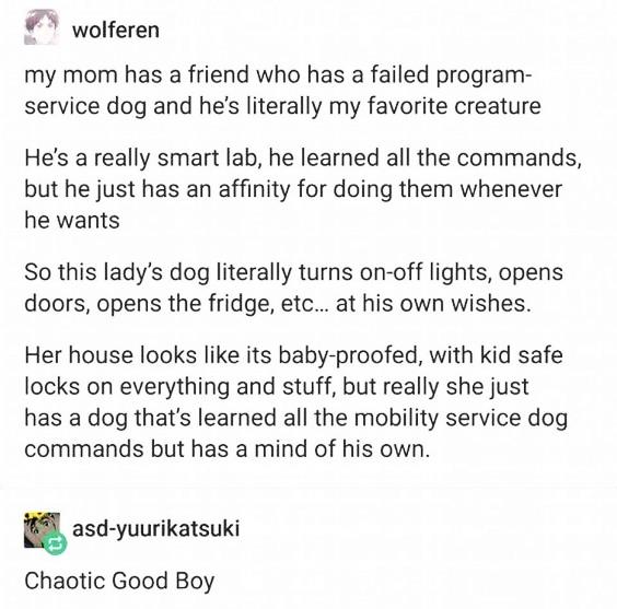 ohtumblroh's tweet photo. https://t.co/Wux5K9VWGb
