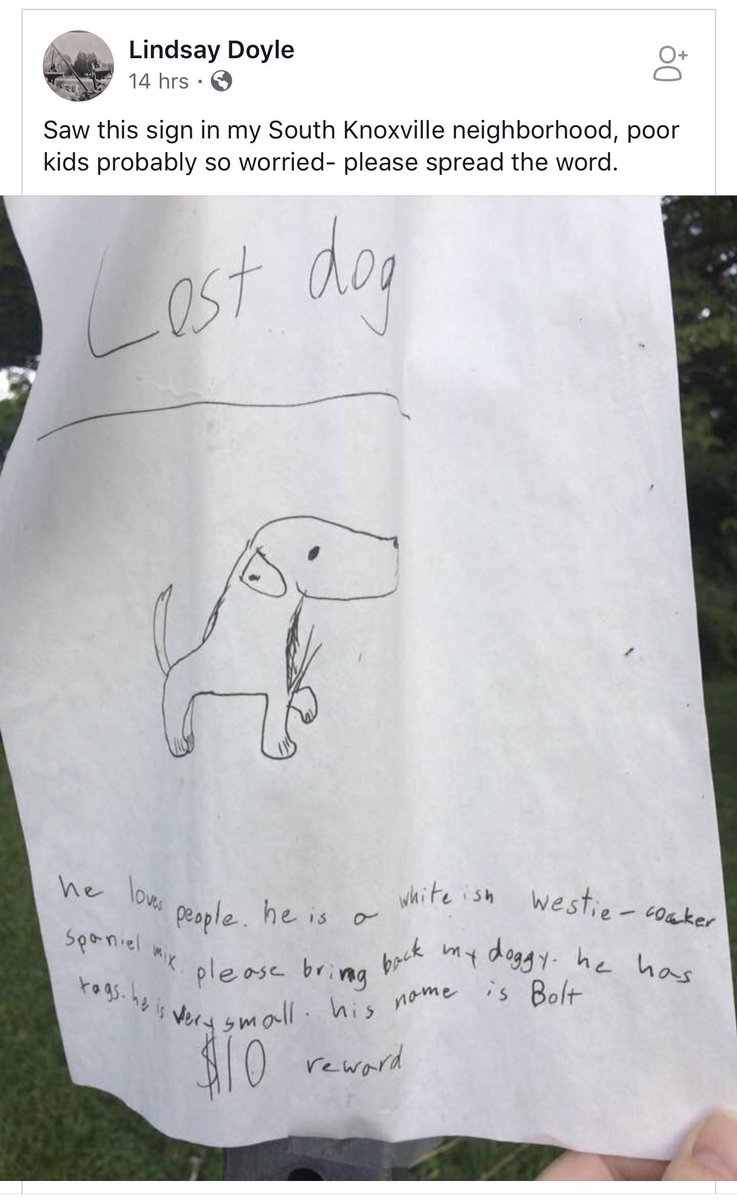 nerdyinpearls's tweet photo. Look, if you ainβt trying to #FindBolt I donβt wanna talk https://t.co/qQsfq97k1I