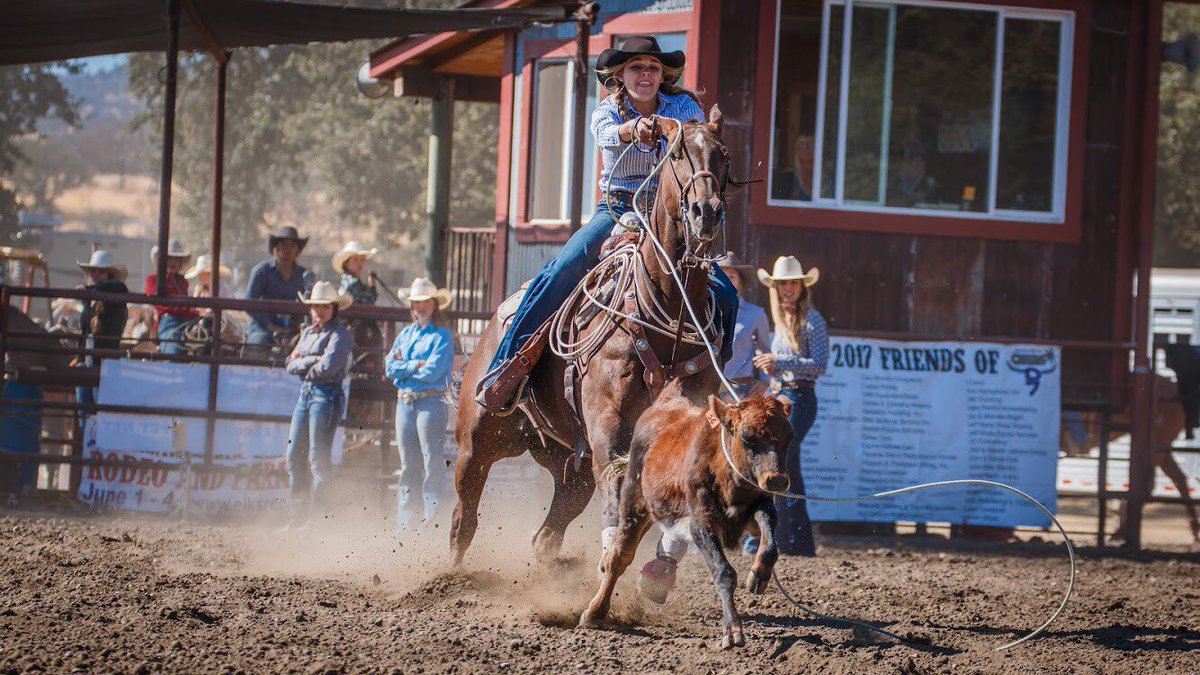 Cal Poly Rodeo tweet media