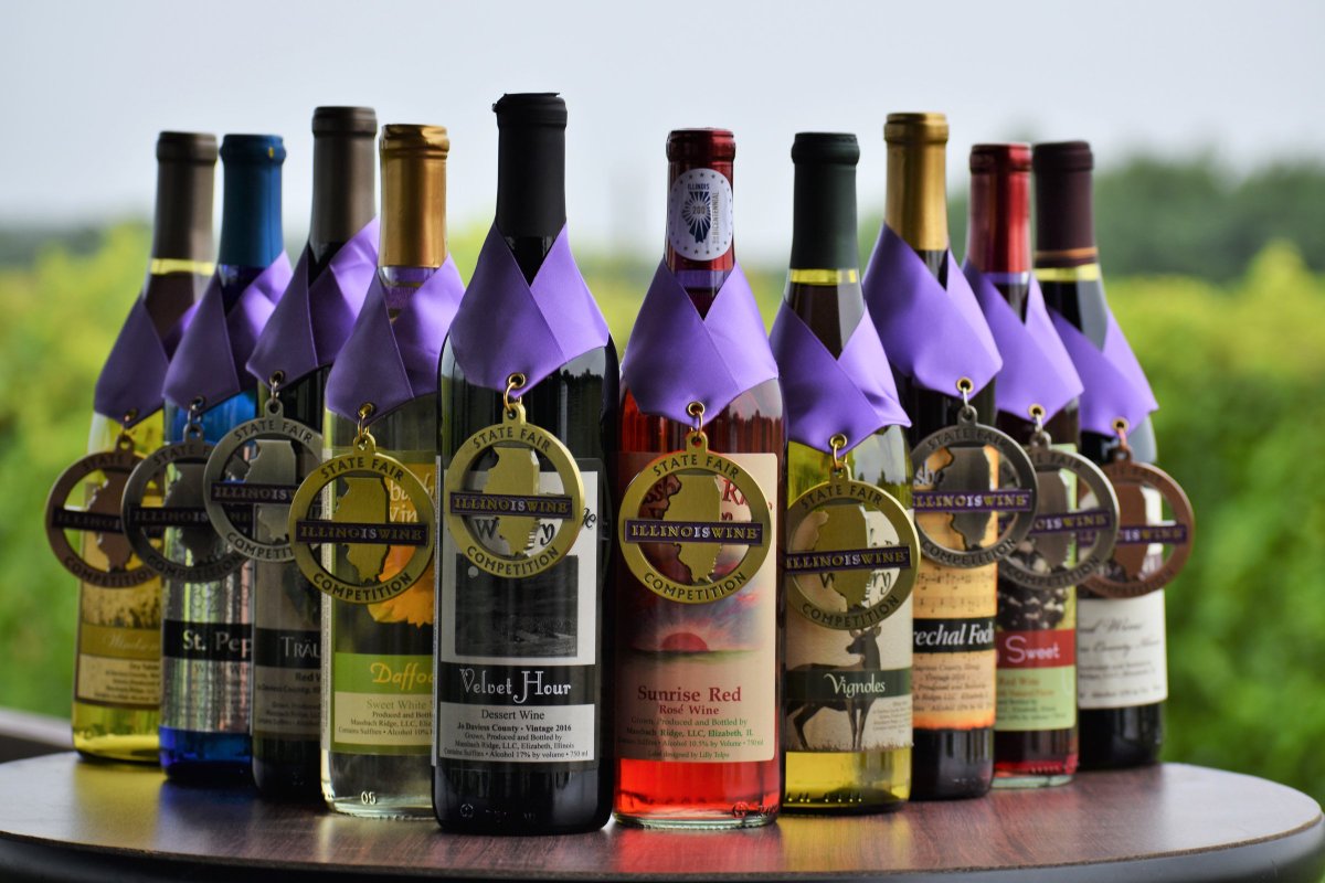 MassbachRidge's tweet photo. Had a photoshoot with our State Fair winners... they're a pretty good looking bunch 🍇😉
.
.
.
.
#illinoiswine #velvethour #sunrisered #vignoles #daffodil #awardwinning #massbachridge #weresoproud #theygrowupsofast https://t.co/WiQLkDRwtz
