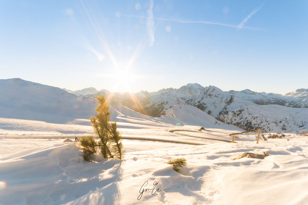 Giorgio_Messina's tweet photo. SUNSET AT GIAU PASS
➖➖➖➖➖➖➖➖➖
Shot whit #sonya6500 and 24-70mm F4.0
➖➖➖➖➖➖➖➖➖
Finiamo la settimana con uno scatto al tramento sulle montagne più belle del mondo, le Dolomiti!
➖➖➖➖➖➖➖➖➖
#dolomiti #dolomites https://t.co/E7ENMiXvPi