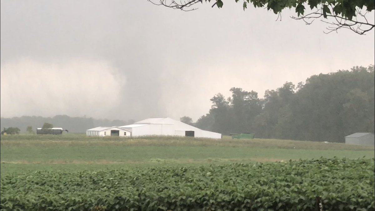 August Veron tweet media