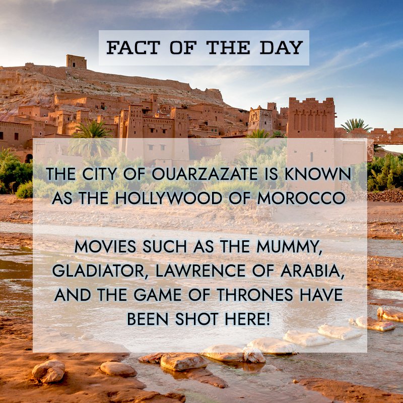 destinationmoro's tweet photo. Did you know there's a #Hollywood away from #LA too? Yes, it's the city of #Ourzazate in #Morocco!
#morocco #moroccotravel #moroccotrip #moroccolives #moroccomall #moroccostyle #moroccovacations #moroccogram #moroccolove #moroccophotography #travel #tourism #travelog #traveler https://t.co/sglPtX8BnP