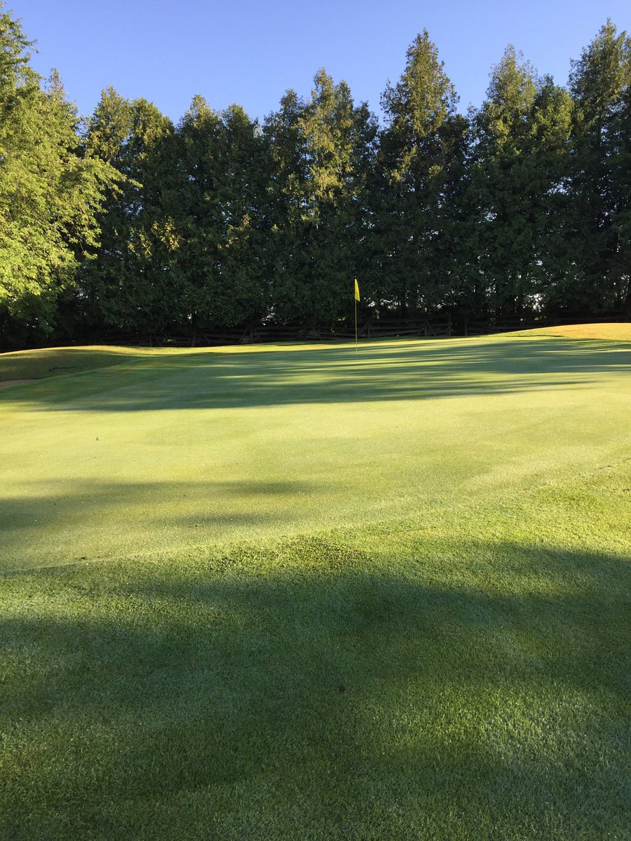 pinecrestgolf1's tweet photo. Beauty morning cutting the greens. This is #6 ⛳️ https://t.co/Nww22HWRZS