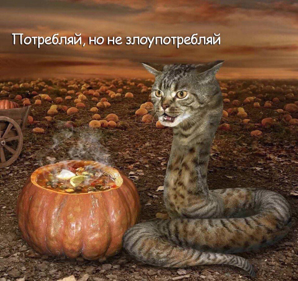 пожалуйста