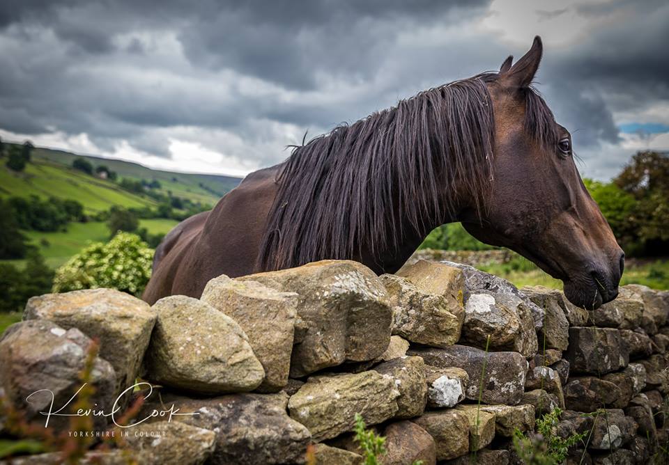 YorkshireinCol1's tweet photo. #Gunnerside #Yorkshireincolour https://t.co/YLt3TzcmtG