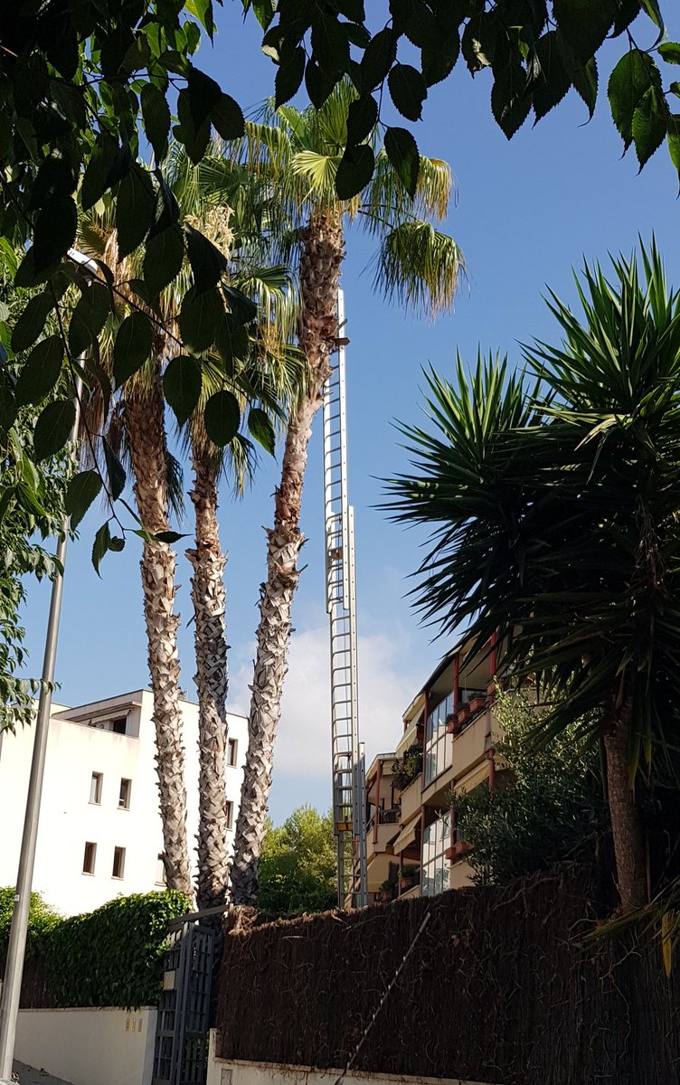 DunkGriff's tweet image. Health &amp;amp; Safety Sitges Style