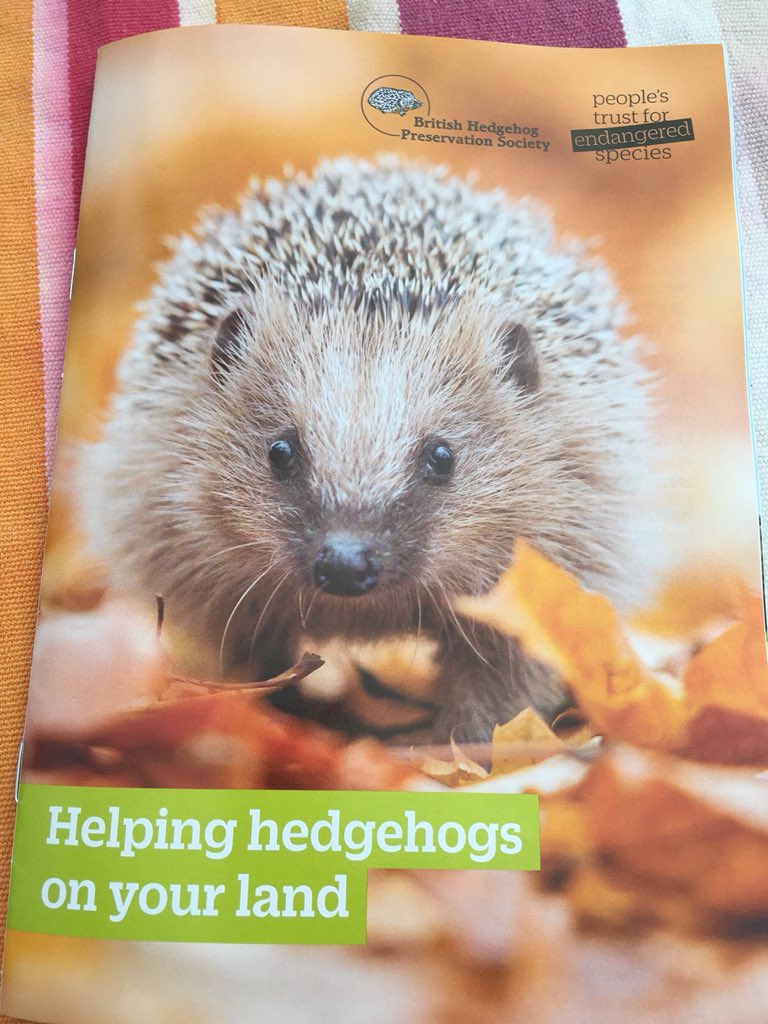 sclarem's tweet photo. @PTES @hedgehogsociety Here it is in last week’s @FarmersWeekly, lots of great advice to help farmers &amp; land managers help #hedeghogs https://t.co/wxNKxoizYK