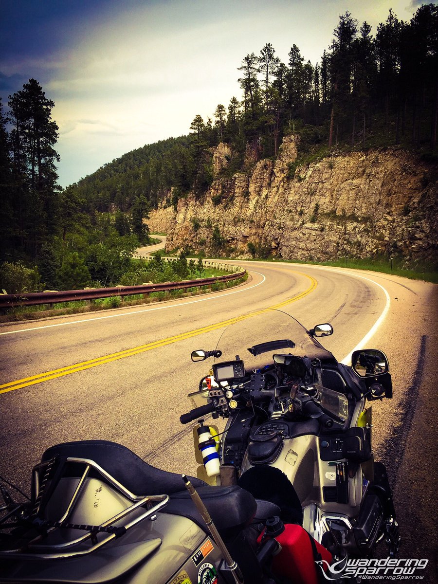 couchboyjoe's tweet photo. Vanocker Canyon in the Black Hills of South Dakota.
#WanderingSparrow https://t.co/78zUVJDJ81