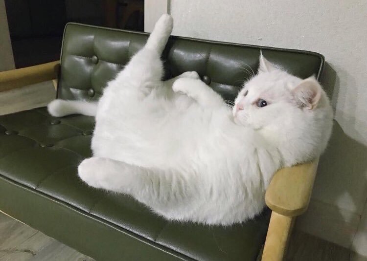 Hayata karşı duruşum