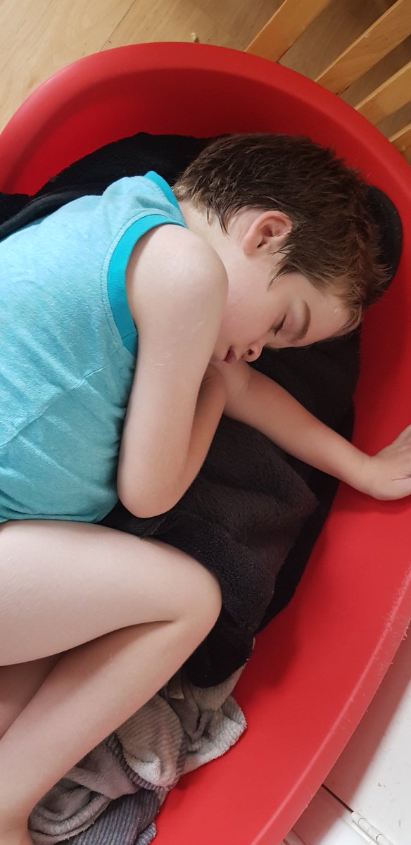 Re_Spawn81's tweet photo. I would love the ability to fall asleep anywhere. Mason does love his Doggie but I think he loves her bed more. #Doggie #MansBestFriend #AUTISM #Autismawareness #AutismFirst #Labrador #Dog #Bed https://t.co/QNlMgVXLvt
