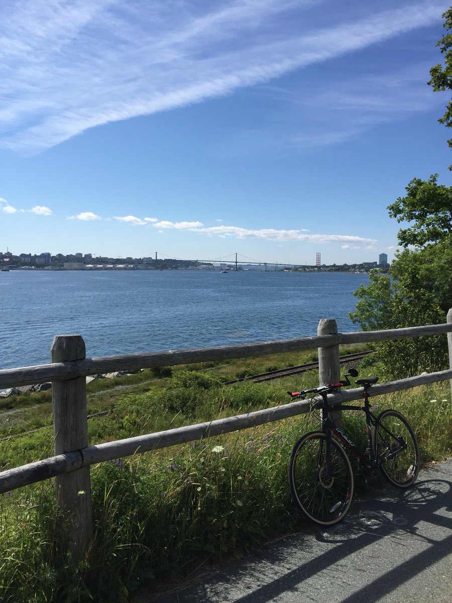 HebertsLaw's tweet photo. Stopped on the commute home to take these beauts! #halifaxsummers https://t.co/F8nsvQ1H4S