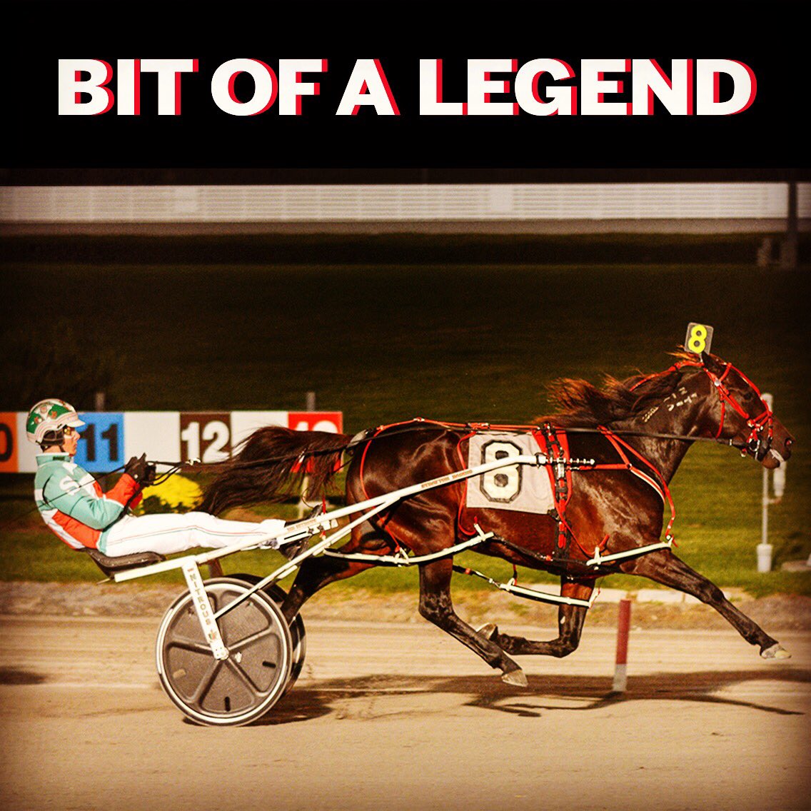 Bit Of A Legend N heads into the Gerrity Memorial on Saturday <a href="/SaratogaCasino/">Saratoga Casino</a> as the favorite. He has banked rolled over $338,000. <a href="/stratton_racing/">Jordan Stratton</a> his regular driver. <a href="/DRFHarness/">DRF Harness</a> will be covering the action.#firstupfridays #harnessracingfz