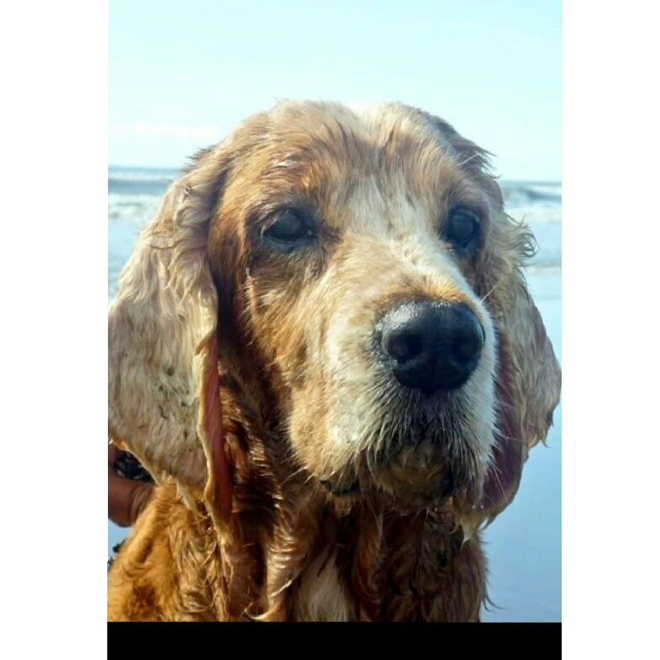 fabihutin's tweet photo. Como no tenerte aún mas presente hoy con todo lo que te extraño amigo.... https://t.co/8CHMAVATjD