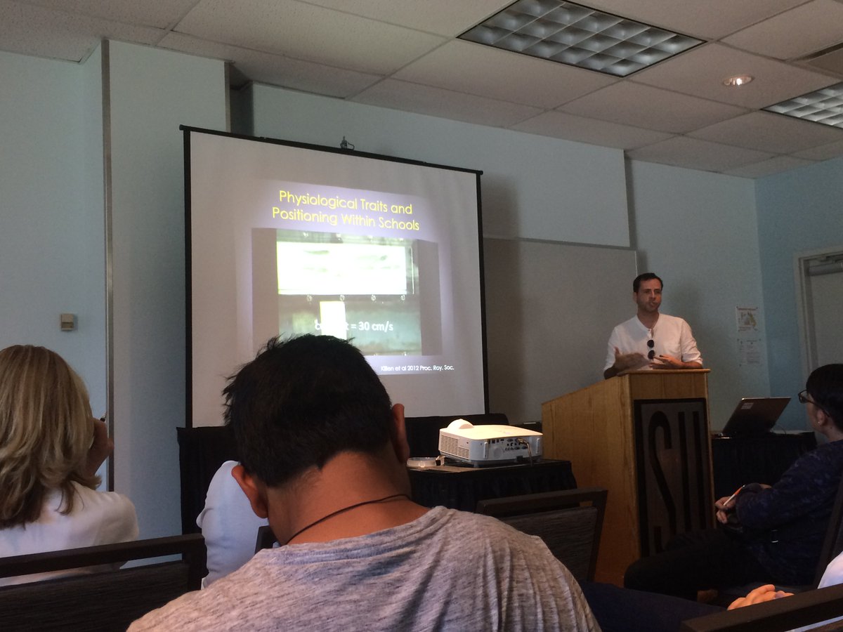 MicroscopeSyd's tweet photo. It was very cool being able to attend the 13th International Congress on the Biology of Fish #ICBF this week! Saw some really fantastic talks, one of my personal favorites being @shaunkillen's on swimming position and fish physiology! Go check out his work! https://t.co/liyfSJnJLD