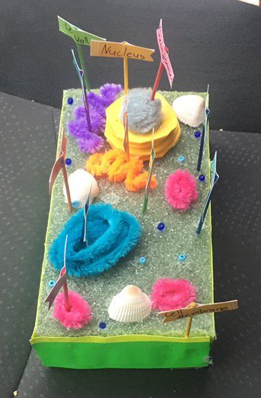 alicekeeler's tweet photo. I Learned Nothing, I Just Googled The Parts of the Cell - https://t.co/Z17a3kQ4ID https://t.co/pqbKSycx6J