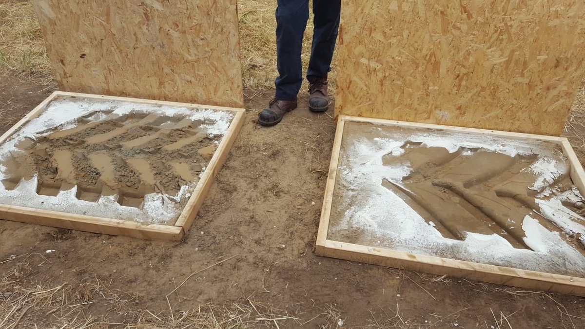 GerminalUKAgri's tweet image. Great demo by @MichelinAgriUK on variable tyre pressure this week . About 30% reduction in roots at 20psi compared to 7psi. 80% of silage fields get driven over.... = yield loss?
Thanks James Walgate and Chris Green
#soilhealth #progressivefarming