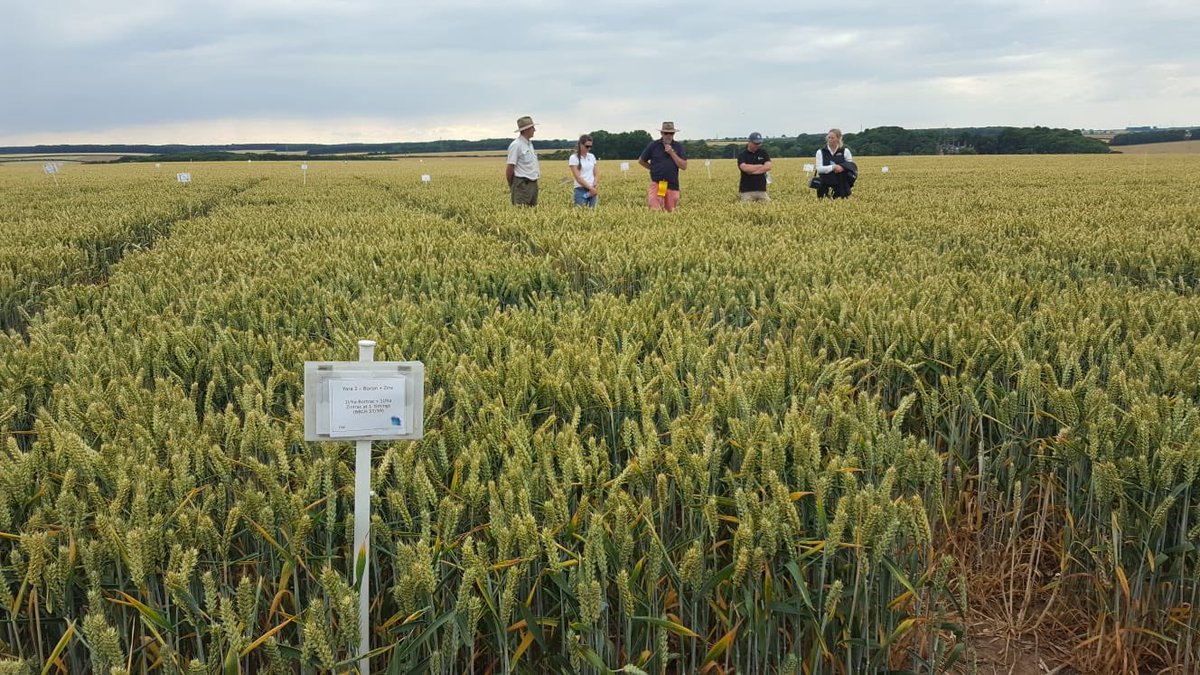 GerminalUKAgri's tweet image. Great demo by @MichelinAgriUK on variable tyre pressure this week . About 30% reduction in roots at 20psi compared to 7psi. 80% of silage fields get driven over.... = yield loss?
Thanks James Walgate and Chris Green
#soilhealth #progressivefarming