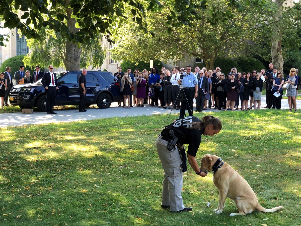ATFNewYork's tweet photo. Search Enhanced Evidence K-9 (SEEK) Kara &amp; New York Field Division S/A Stephanie D’Andrea at a demonstration at @NassauDA w/ @NassauCountyPD &amp; Nassau County Fire Marshal. ATF K-9's are out assisting state, local &amp; federal law enforcement every day. Visit https://t.co/VKNERMJoLK. https://t.co/Ijwzs02O9m