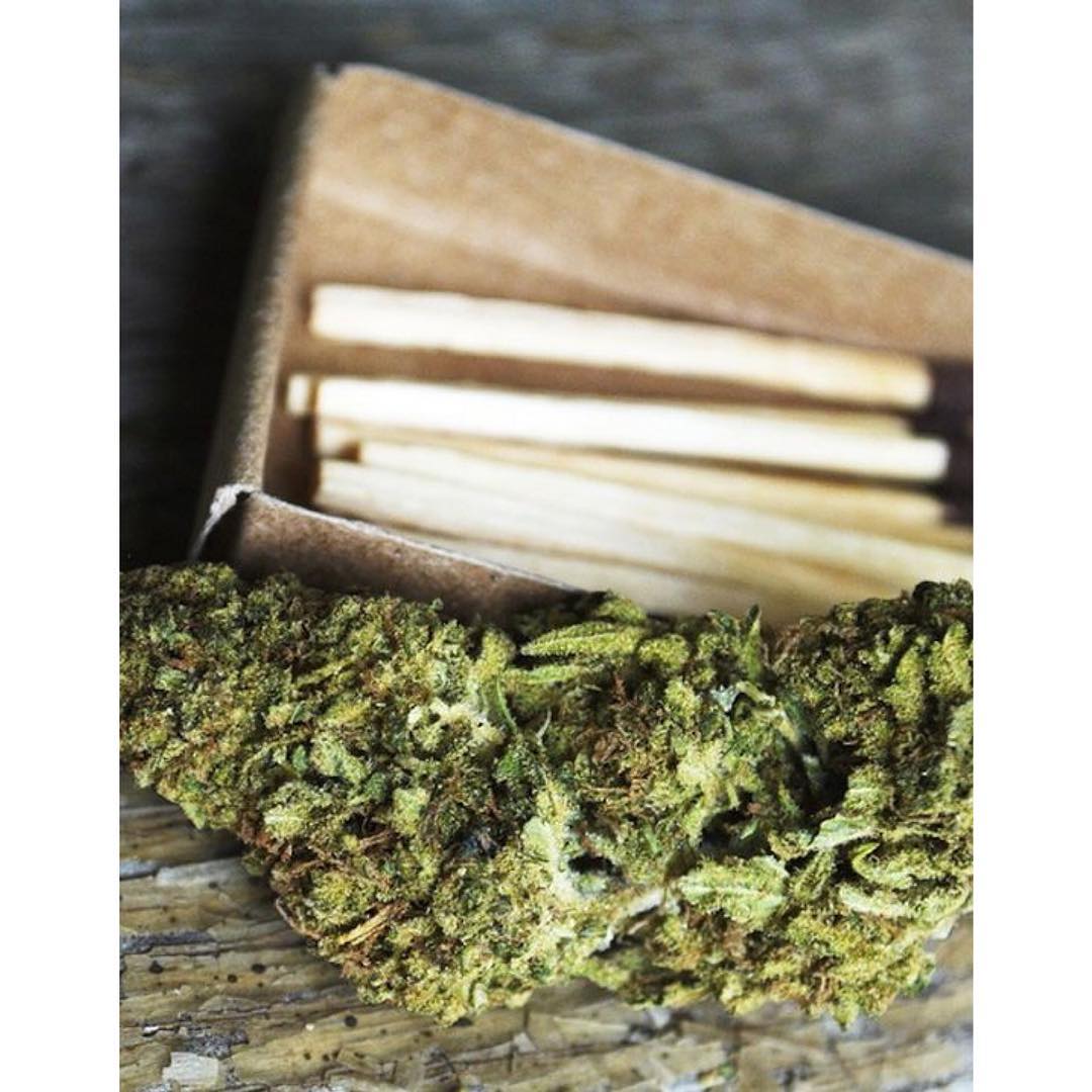 weedydotcom's tweet photo. Friday is high day. Blaze away babes. #theonlyanswerisyes #juanaburn #instahigh #stonergram #stoner #blazed #ganja #ganjasana #letsgethigh #smokeweedeveryday #weed #reefer #cannabis #yogastoned https://t.co/j4COY64aJm