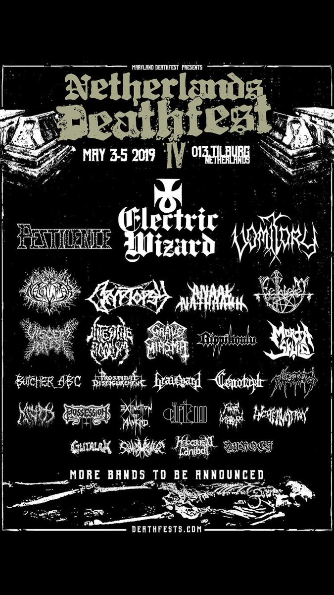 CENOTAPH MX tweet media
