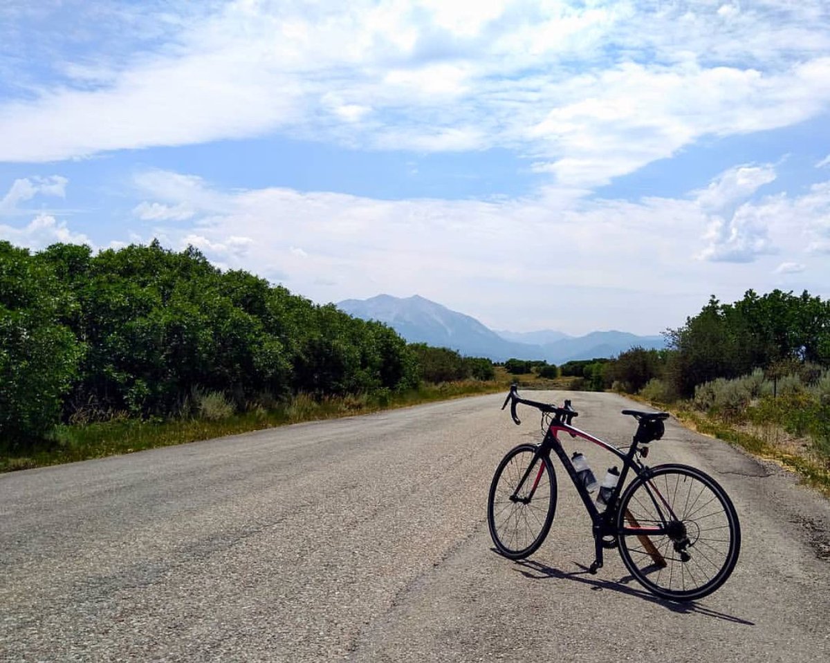 ROL WHEELS tweet media