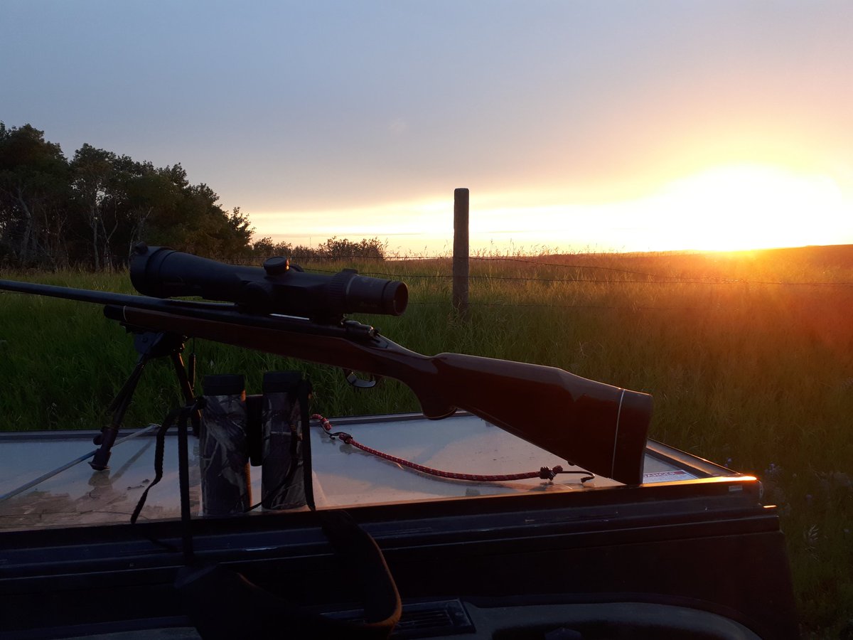 berley7030's tweet photo. my camp the other day n heading back today 😜😍🤗
#camplife #campfire #weekendvibes #moosemountainprovincialpark #hunting #fishing #argo #smores #peace #elkfever #bullelk #ExploreCanada #exploresask
@Saskatchewan @ExploreSask @CanadianCmpLife https://t.co/csfAtOduBw