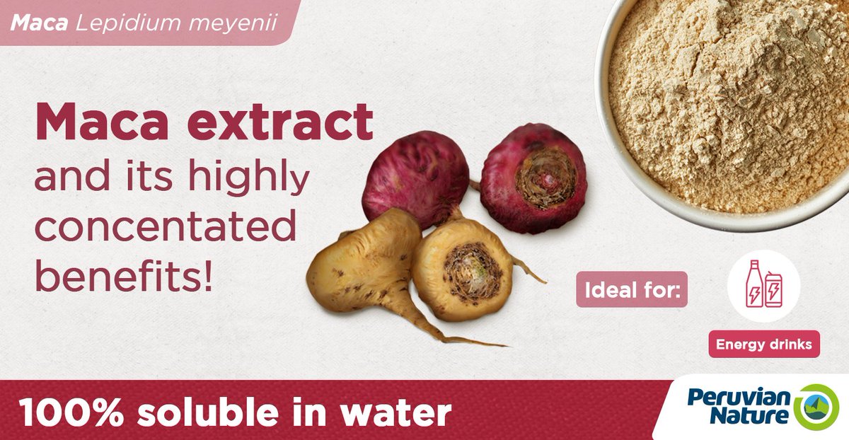 PeruvianNature's tweet photo. Know the differences between regular maca powder and maca extract: Maca extract is 100% soluble in water. It is recommendable to produce energy drinks. https://t.co/QJ7OEc3TCQ #MacaExtract #Maca #Superfoods #MacaRoot #SuperIngredients #PeruvianNature #MacaHP https://t.co/2jHxnwwNeD