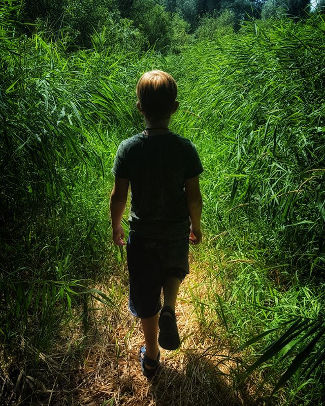 It's scorching here in the #netherlands. I took my kid out for a bit of a hike.
---
#500px #photography #streetexploration #agameoftones #featuremeinstagood #instamagazine #killergrams #ig_masterpiece #ig_exquisite #ig_shotz #global_hotshotz #superhubs #… tesst.it/2Ls86RL