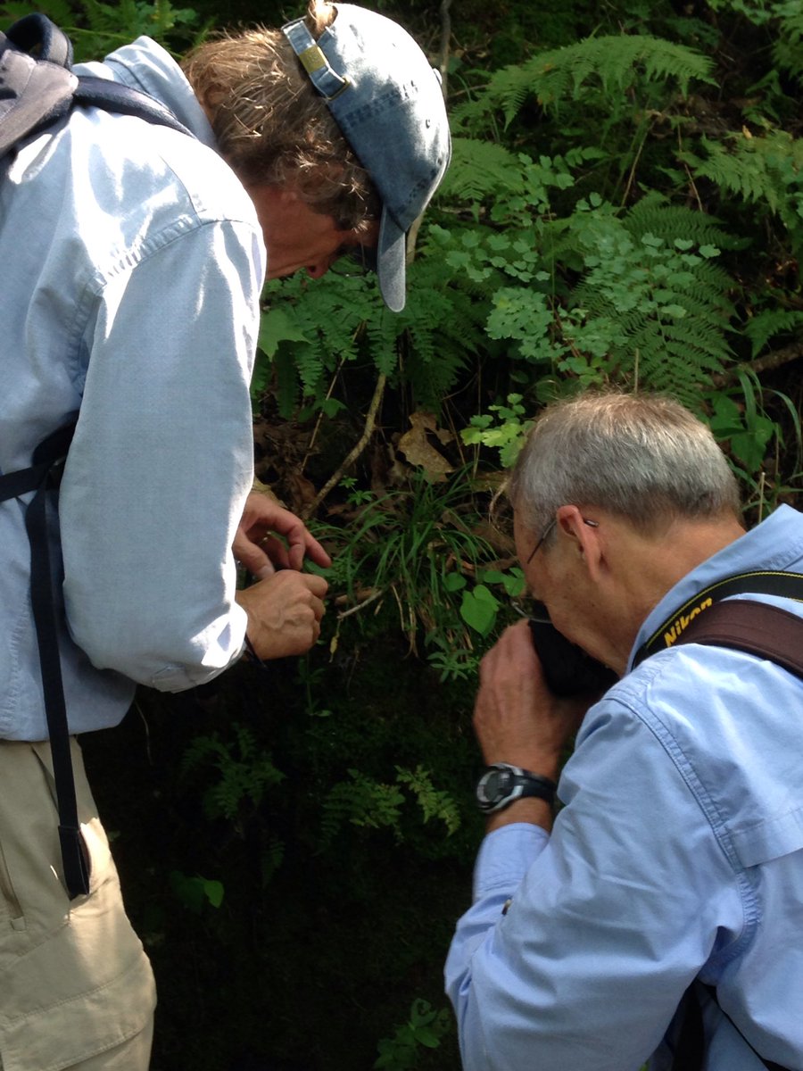 MLinkPerez's tweet photo. Pteridophyte greats Dave Barrington &amp; Carl Taylor examining #Cystopteris @ Fern Foray #Botany2018 https://t.co/g2hw4thN4e