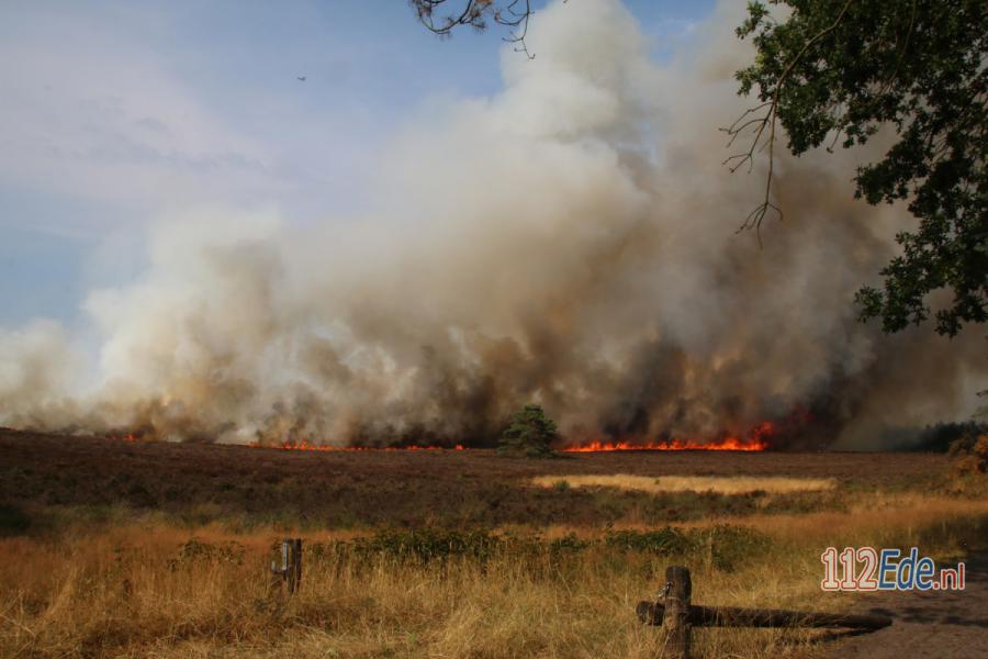 🚨 Grote heidebrand in #Elspeet; brandweer zet zes pelotons in 112.press/QcFHC6 112Ede https://t.co/hf2JEJNC7R